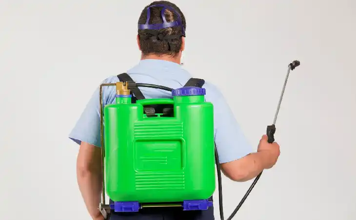 شركة مكافحة حشرات تحذر من انتشار البق لـ 3 أسباب خطرة اعرفها